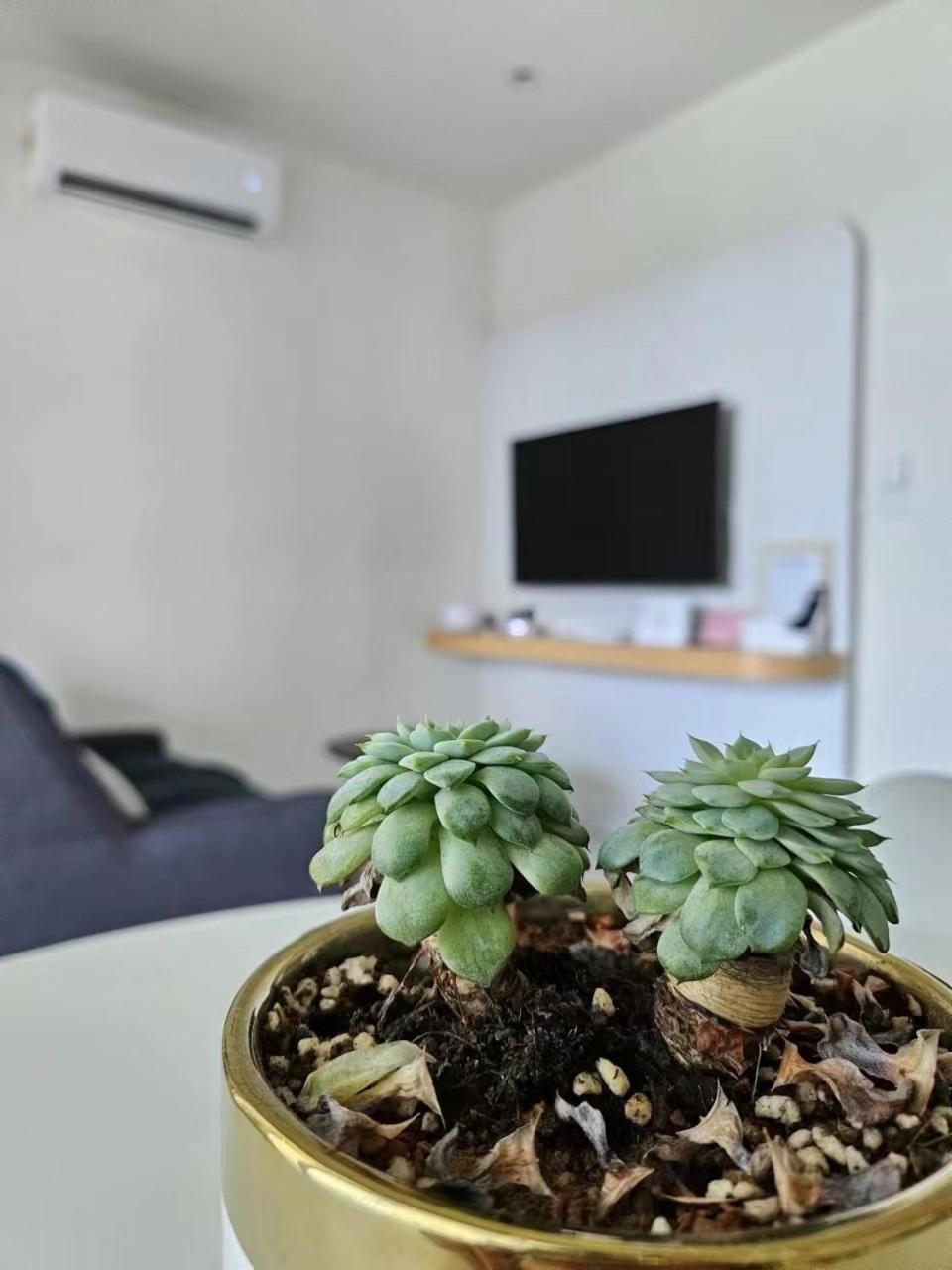 Cityview Studio Apartment At Kota Kinabalu City Centre المظهر الخارجي الصورة